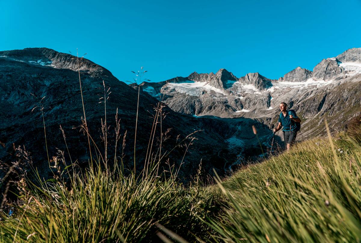 Wanderung © Zillertal Tourismus